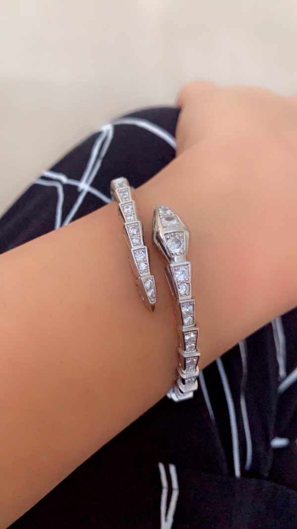 Serpentine Elegance Silver Snake Bracelet